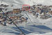 localisation-appartement-lac-du-lou.JPG